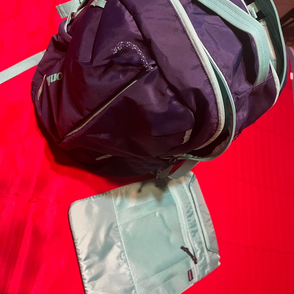 Patagonia Purple and Light Blue Backpack
